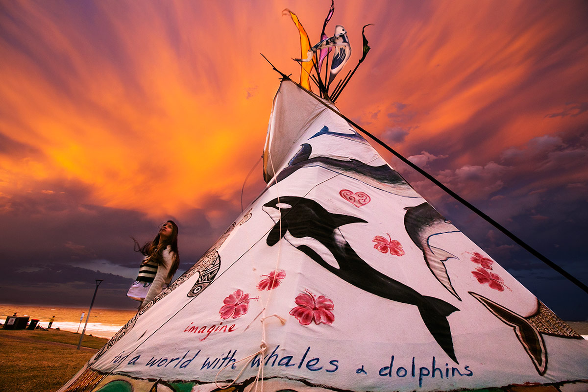 SNEAK PEAK OF OUR 2017 TIPIS