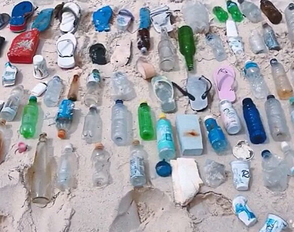 Our Trash catch: 81 water bottles, 16 thongs, 1 bike seat, 8 foam noodle cups, 1 engine oil bottle and various other styrofoam &amp; plastic components. Bad news is we could have filled 5 more sacks